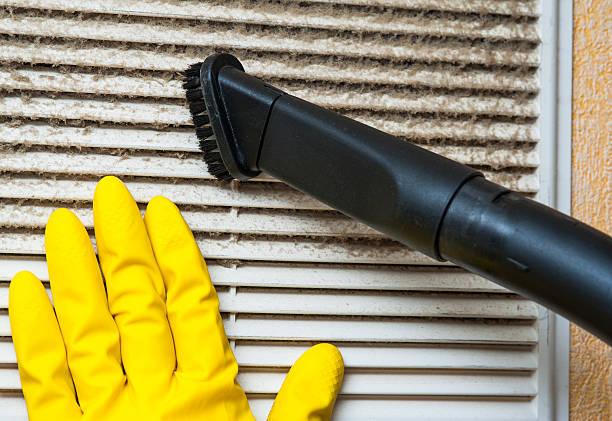 Best Local Air Duct Cleaning Services  in Shpee Neck, MA
